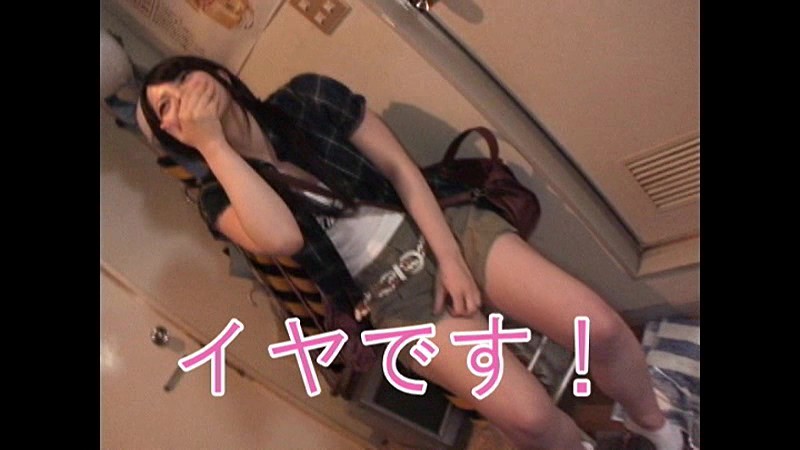 サンプル画像 3