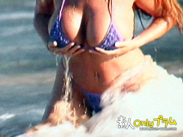 サンプル画像 14