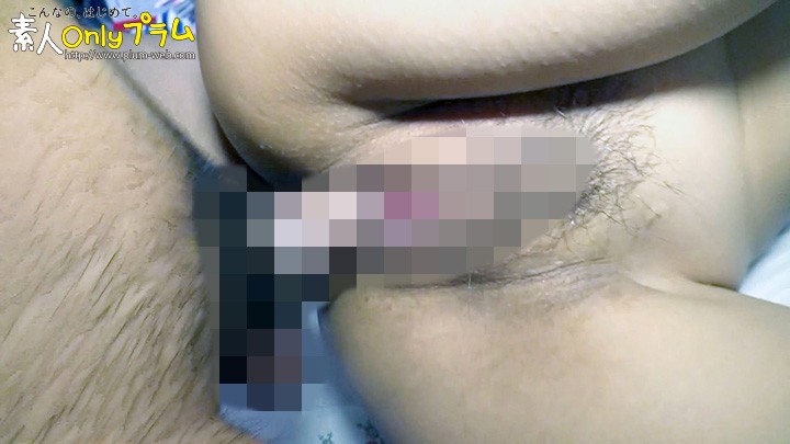 サンプル画像 14