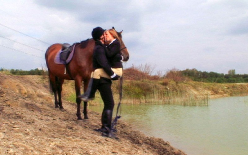 サンプル画像 6