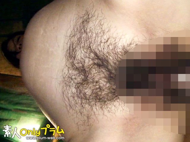 サンプル画像 8