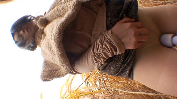 サンプル画像 9