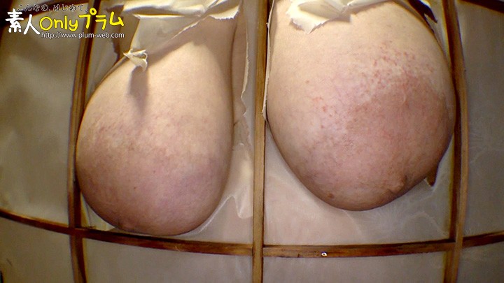 サンプル画像 16