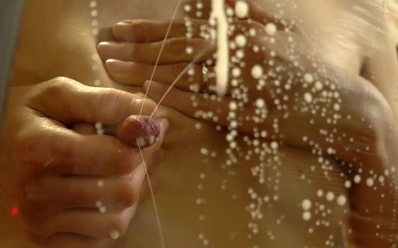 サンプル画像 21