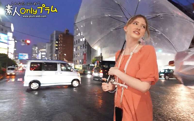 サンプル画像 14