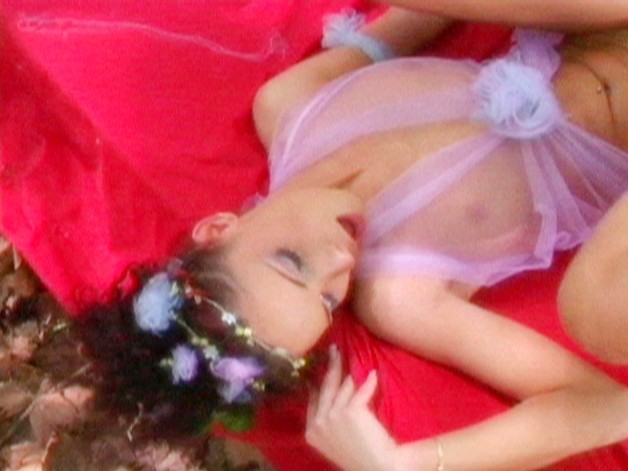 サンプル画像 19