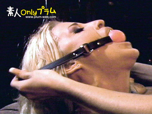 サンプル画像 12