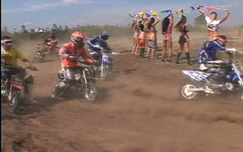 サンプル画像 2