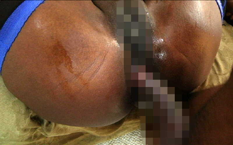 サンプル画像 5