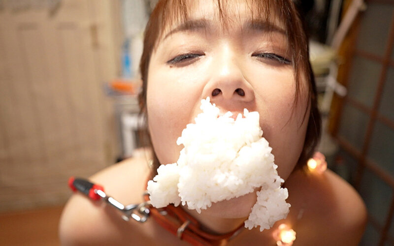 サンプル画像 16