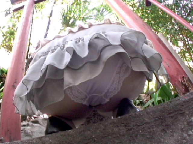 サンプル画像 3