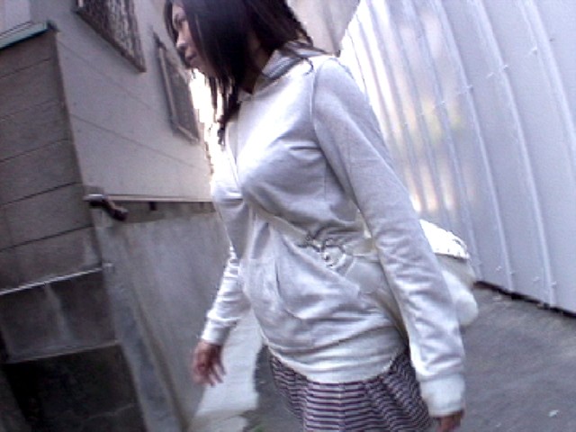 サンプル画像 2