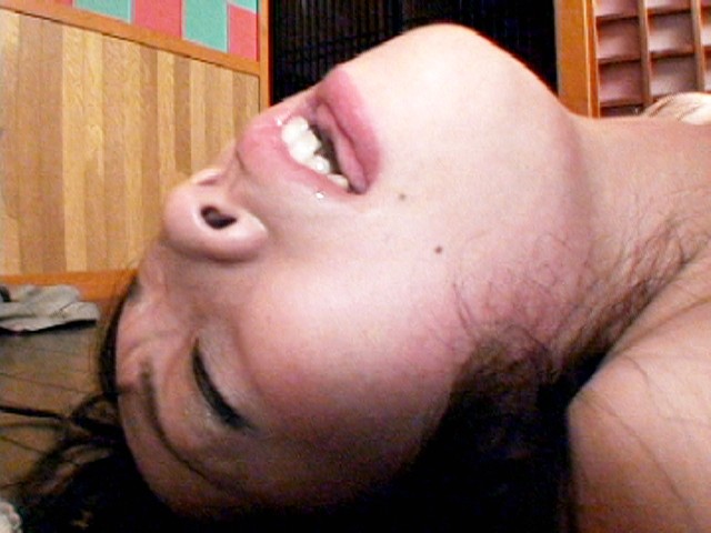 サンプル画像 5