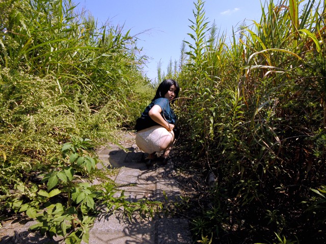 サンプル画像 4