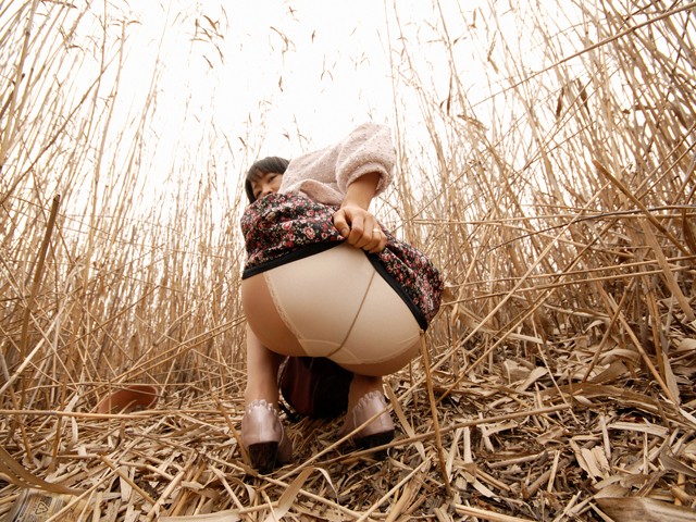 サンプル画像 2