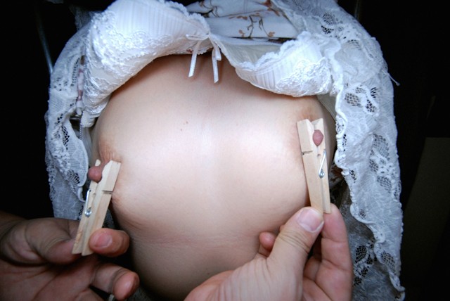 サンプル画像 5