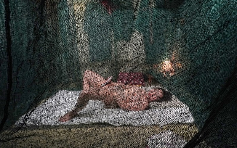 サンプル画像 9