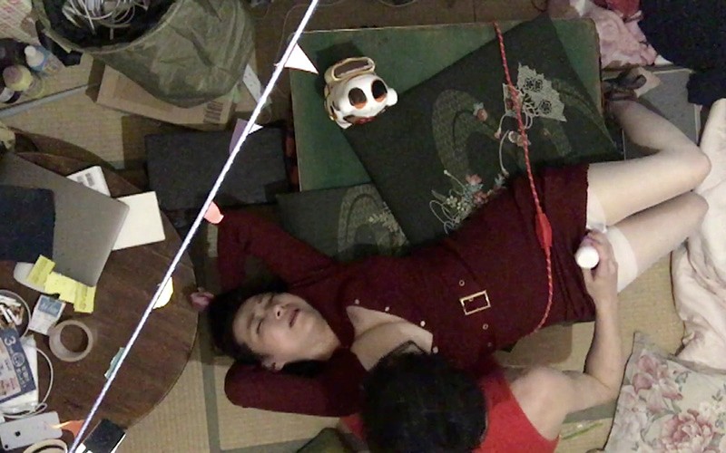 サンプル画像 13