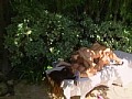 サンプル画像 31