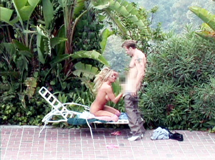 サンプル画像 14