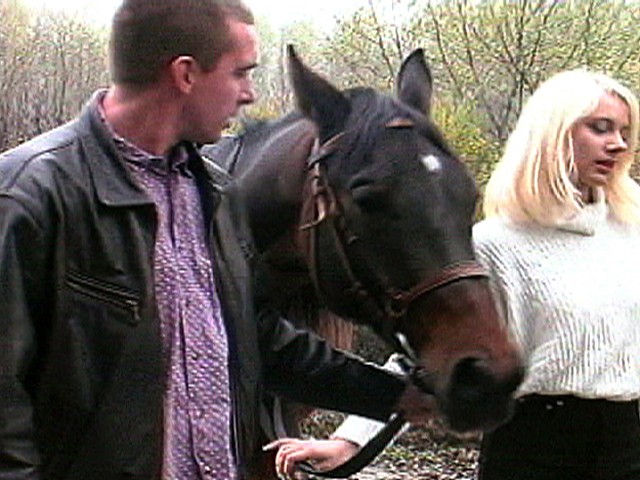 サンプル画像 8