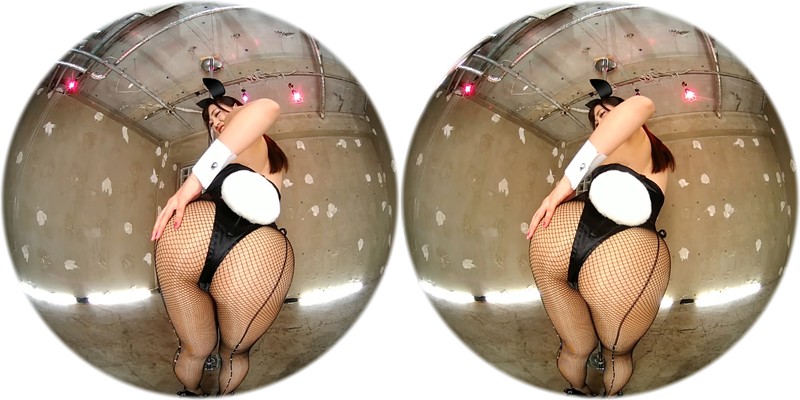 サンプル画像 13