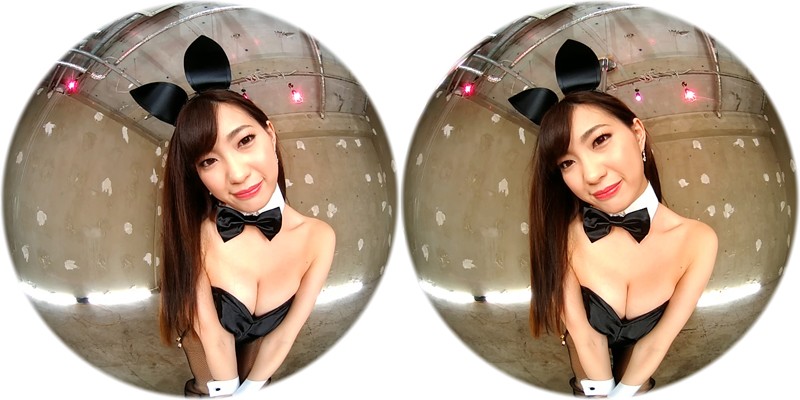 サンプル画像 15