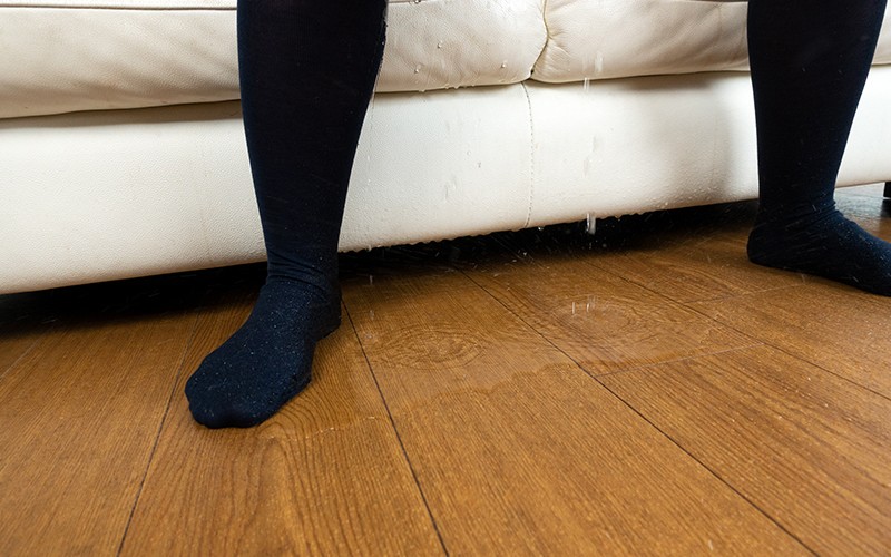 サンプル画像 7