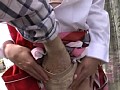 サンプル画像 9
