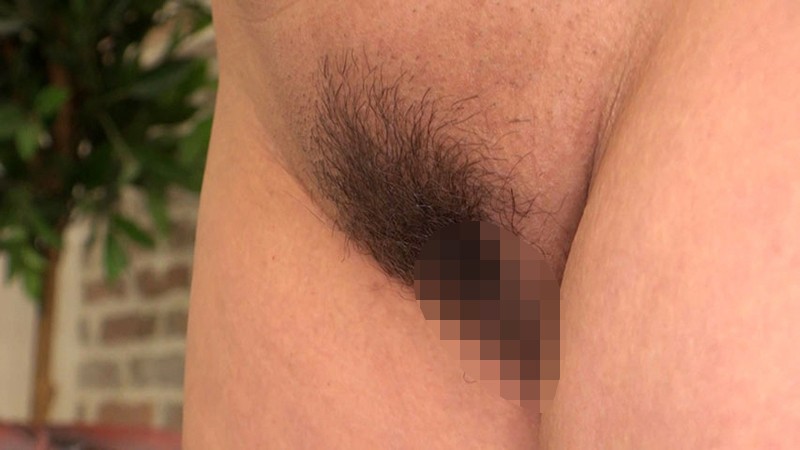 サンプル画像 11