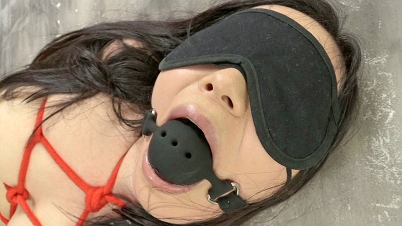 サンプル画像 8