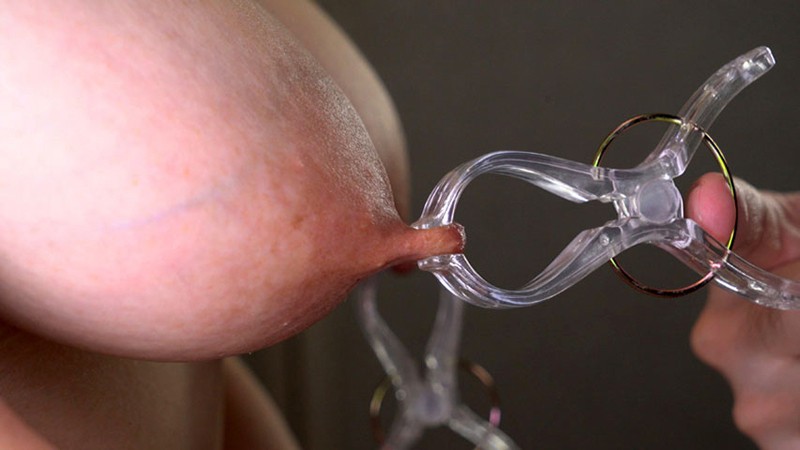 サンプル画像 5