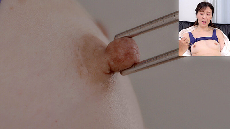 サンプル画像 12