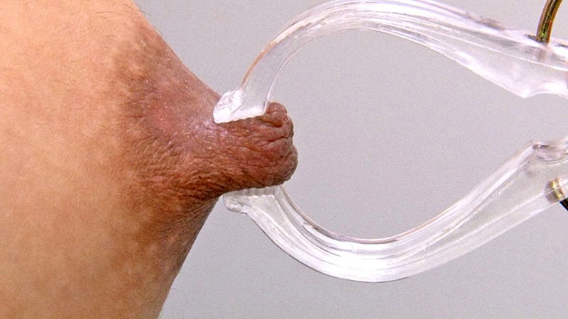 サンプル画像 11