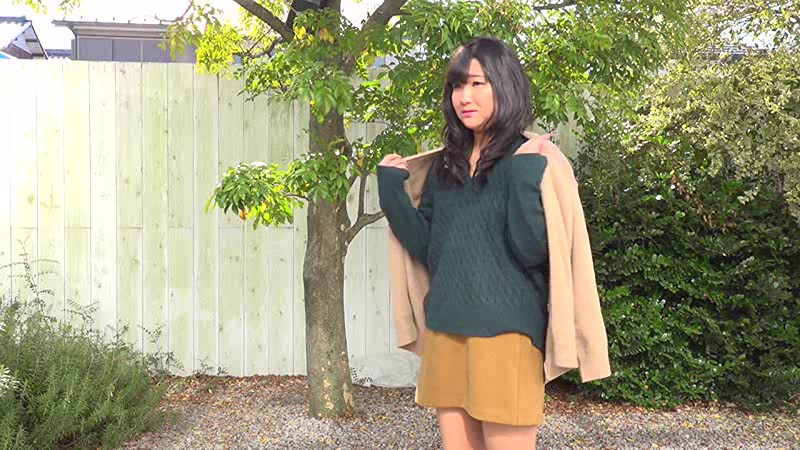 サンプル画像 12