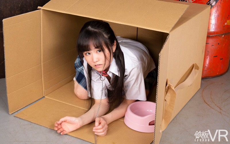 サンプル画像 11