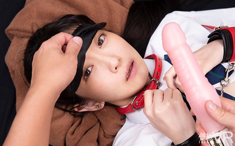 サンプル画像 11