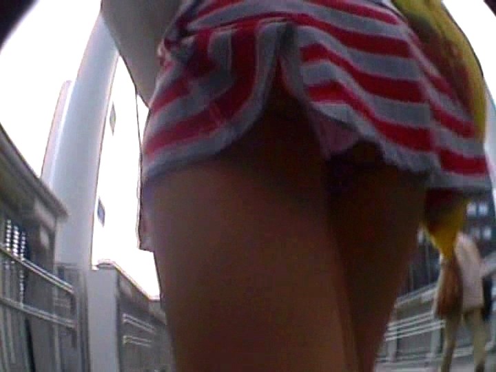 サンプル画像 10