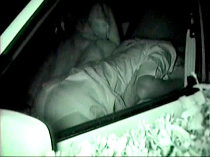 サンプル画像 8