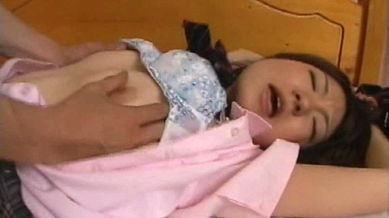 サンプル画像 11