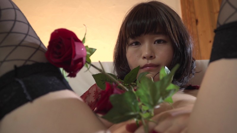 サンプル画像 13