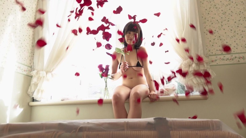 サンプル画像 4