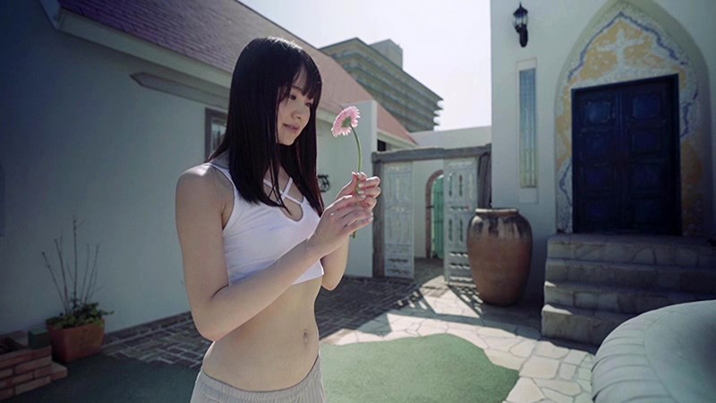 サンプル画像 11