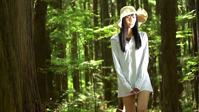 サンプル画像 2