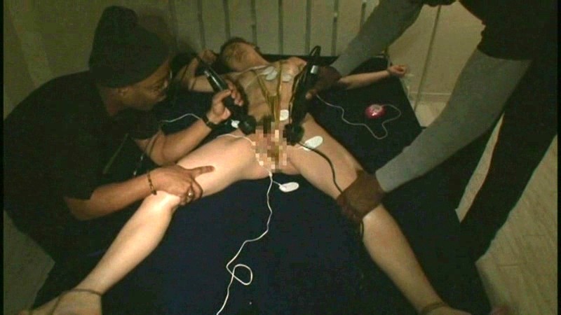 サンプル画像 14