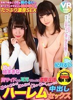 パッケージ画像