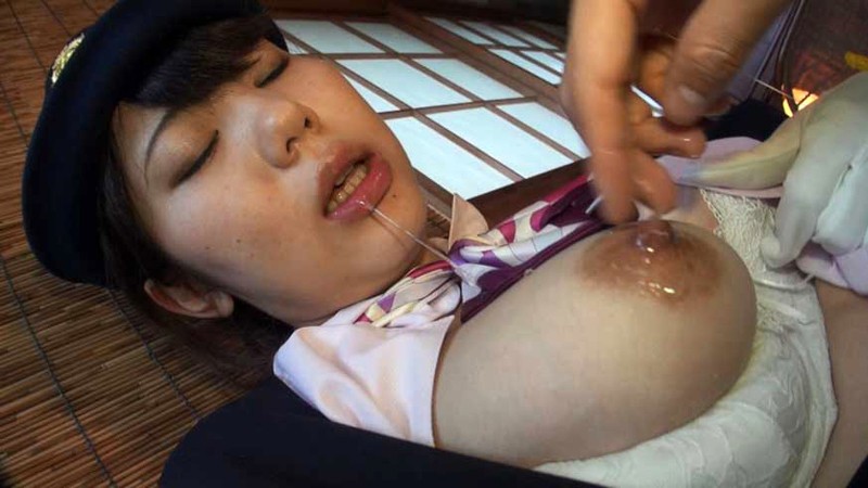 サンプル画像 3