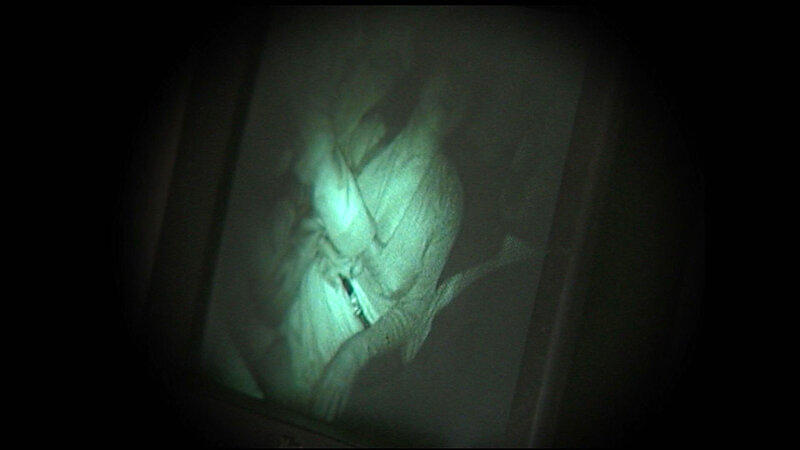 サンプル画像 5