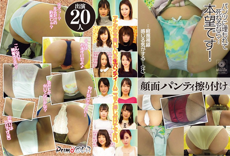 サンプルプレビュー