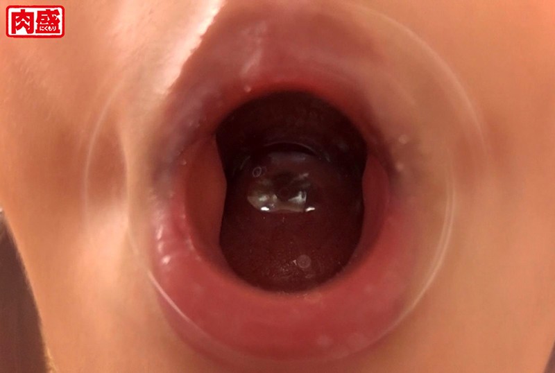 サンプル画像 13